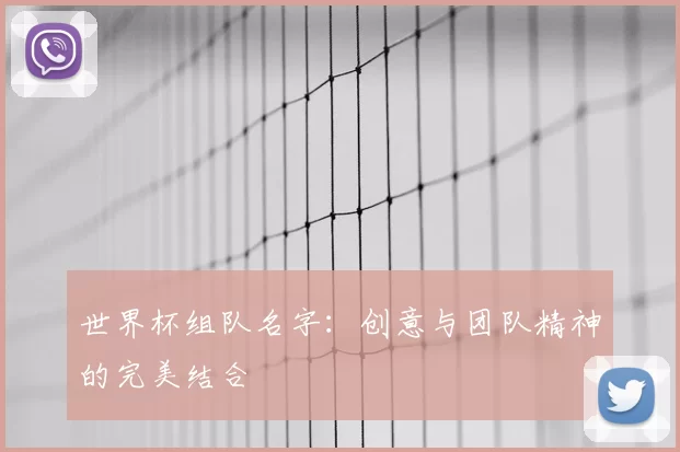 世界杯组队名字:创意与团队精神的完美结合