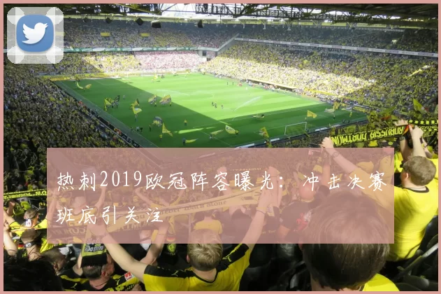 热刺2019欧冠阵容曝光:冲击决赛班底引关注