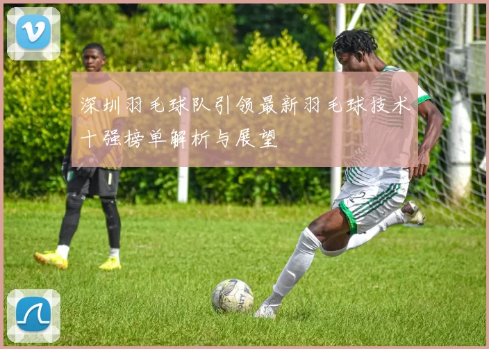 深圳羽毛球队引领最新羽毛球技术十强榜单解析与展望