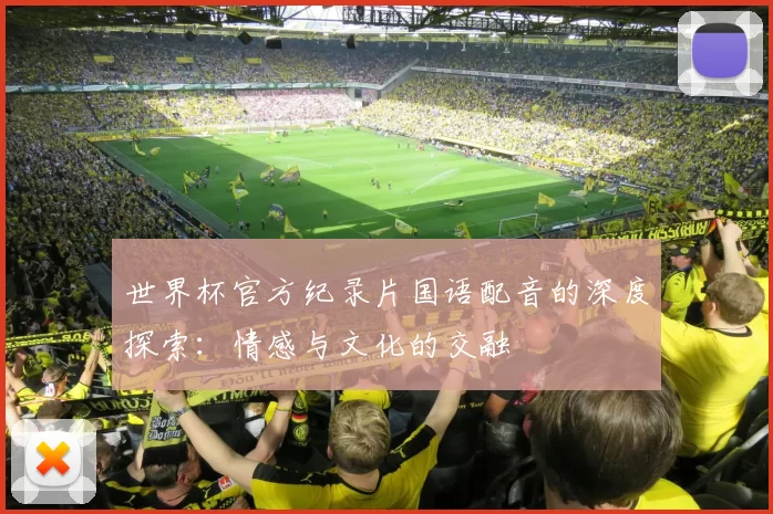 世界杯官方纪录片国语配音的深度探索：情感与文化的交融