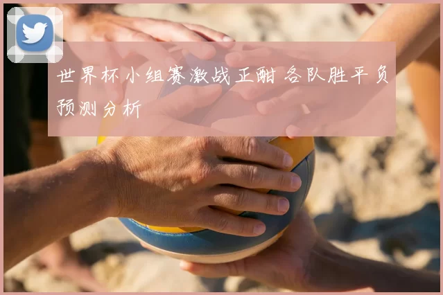 世界杯小组赛激战正酣 各队胜平负预测分析