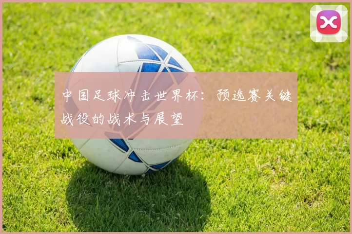 中国足球冲击世界杯：预选赛关键战役的战术与展望