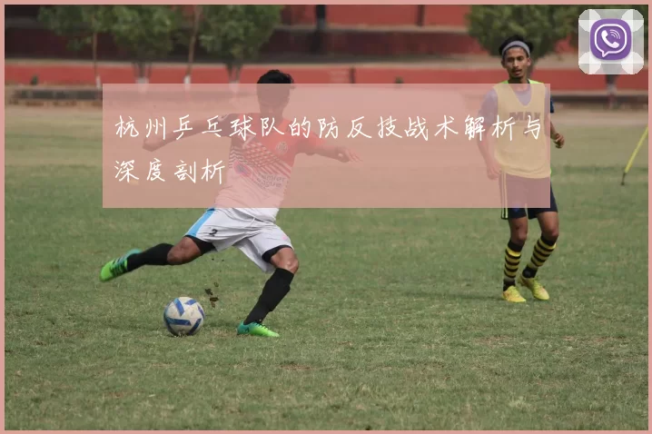 杭州乒乓球队的防反技战术解析与深度剖析