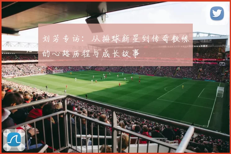 刘芳专访：从排球新星到传奇教练的心路历程与成长故事