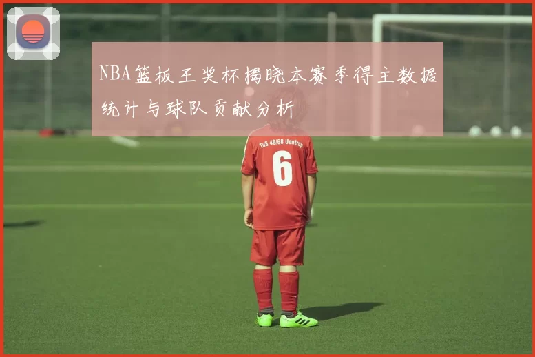 NBA篮板王奖杯揭晓本赛季得主数据统计与球队贡献分析
