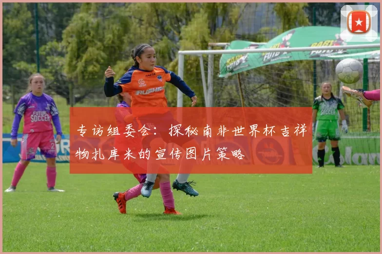 专访组委会：探秘南非世界杯吉祥物扎库米的宣传图片策略