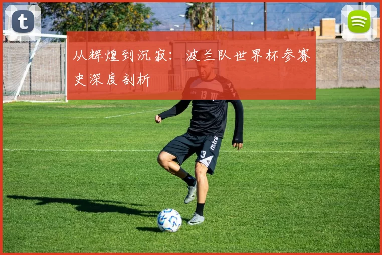 从辉煌到沉寂：波兰队世界杯参赛史深度剖析