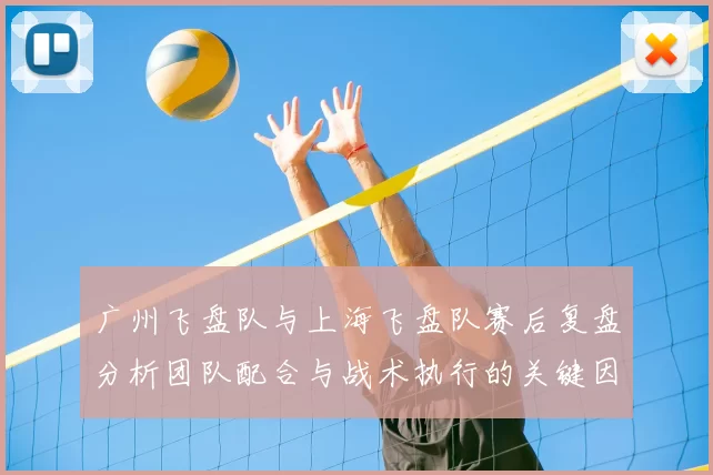 广州飞盘队与上海飞盘队赛后复盘分析团队配合与战术执行的关键因素