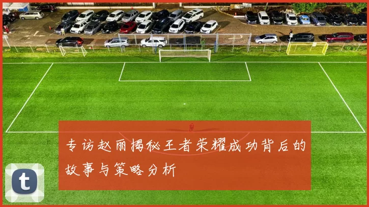 专访赵丽揭秘王者荣耀成功背后的故事与策略分析