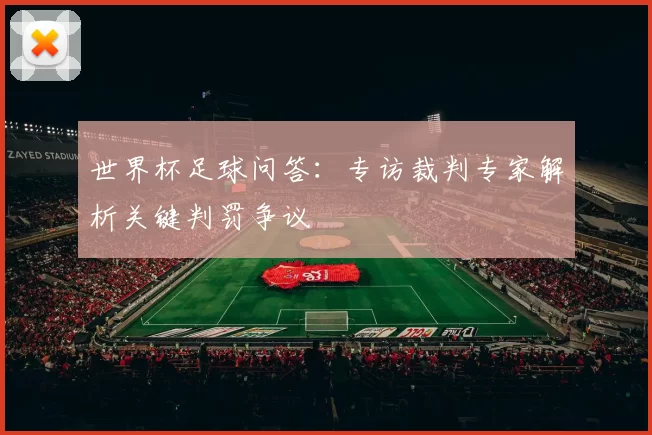 世界杯足球问答：专访裁判专家解析关键判罚争议