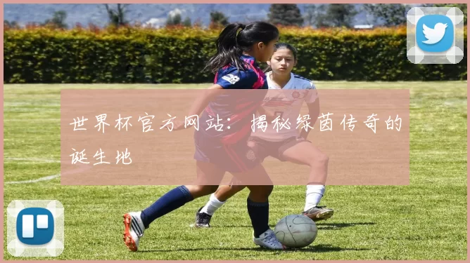 世界杯官方网站：揭秘绿茵传奇的诞生地