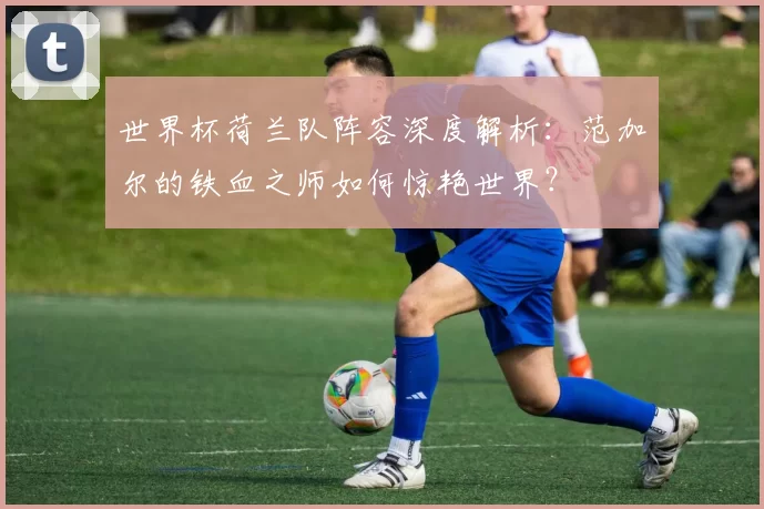 世界杯荷兰队阵容深度解析：范加尔的铁血之师如何惊艳世界？