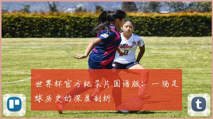 世界杯官方纪录片国语版：一场足球历史的深度剖析