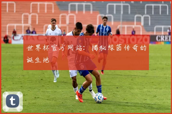 世界杯官方网站：揭秘绿茵传奇的诞生地
